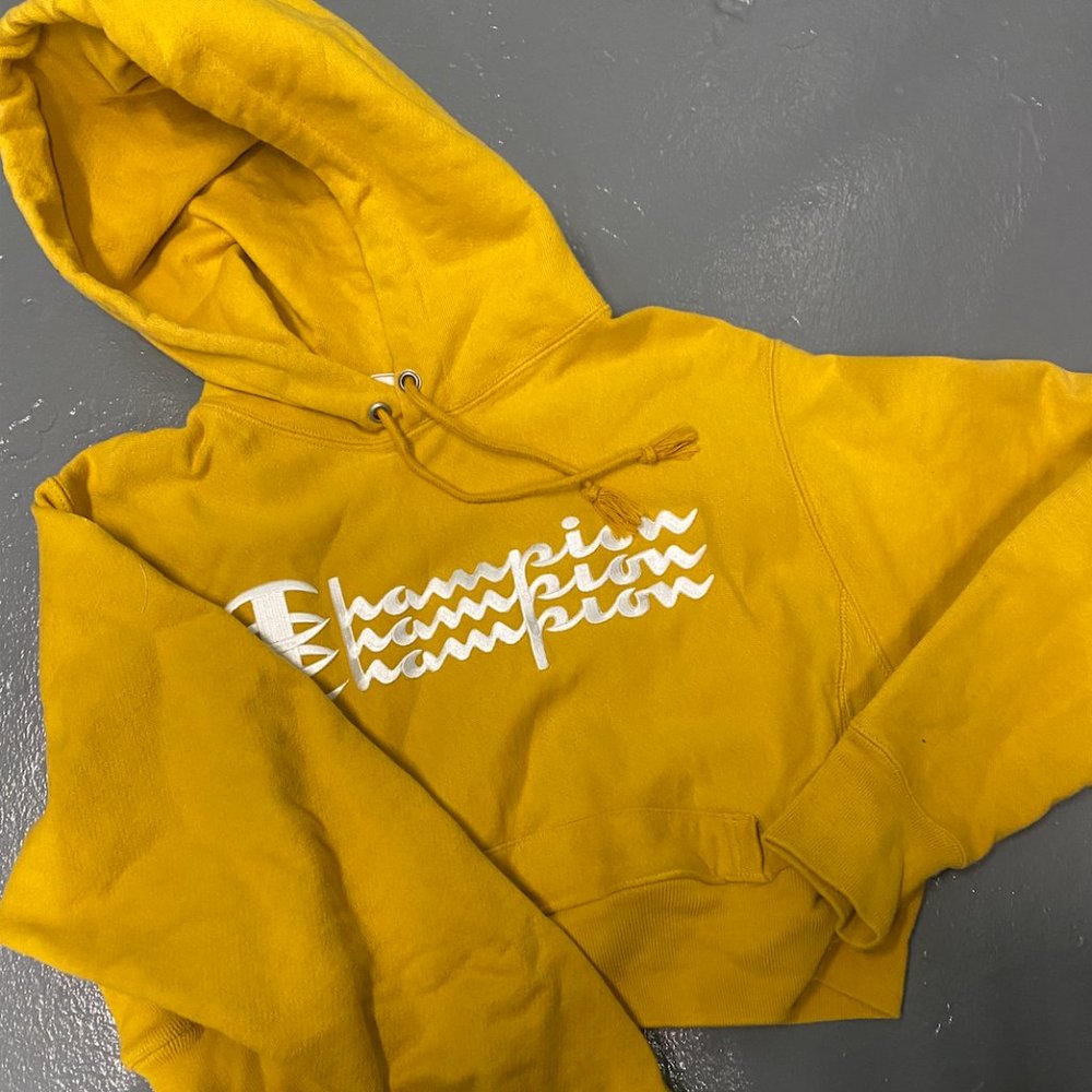 Champion Cropped Hoodie Sweatshirt